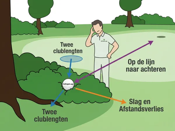 Bola injugable (Regla 19)