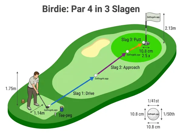 Ilustración para Birdie
